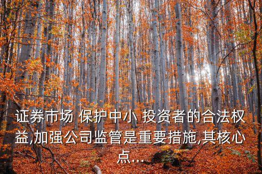 證券市場 保護(hù)中小 投資者的合法權(quán)益,加強公司監(jiān)管是重要措施,其核心點...