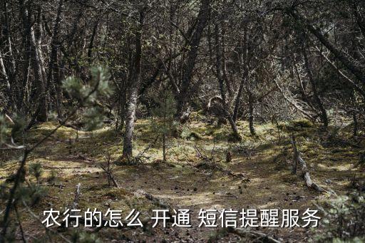 農(nóng)行的怎么 開通 短信提醒服務(wù)