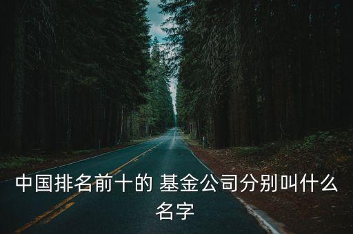 中國(guó)排名前十的 基金公司分別叫什么名字