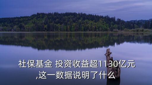  社保基金 投資收益超1130億元,這一數(shù)據(jù)說(shuō)明了什么