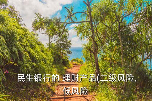 民生銀行的 理財產(chǎn)品(二級風(fēng)險,低風(fēng)險