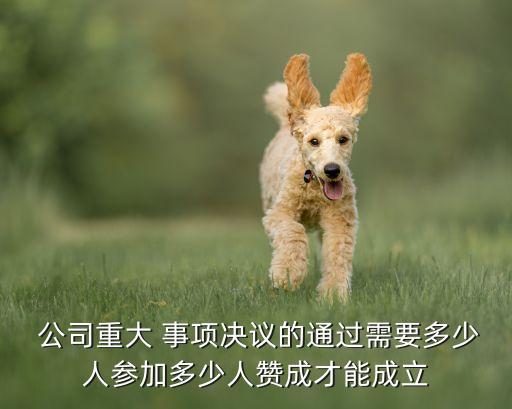  公司重大 事項(xiàng)決議的通過需要多少人參加多少人贊成才能成立