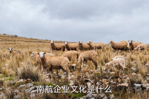 中國南方航空股份有限公司2013年報