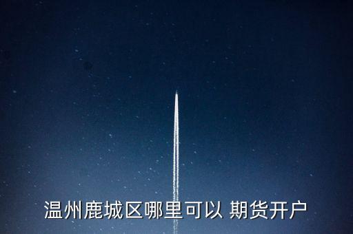 溫州鹿城區(qū)哪里可以 期貨開戶