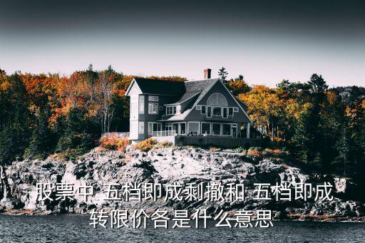  股票中 五檔即成剩撤和 五檔即成轉限價各是什么意思