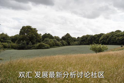 雙匯 發(fā)展最新分析討論社區(qū)