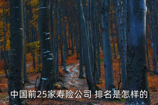 中國前25家壽險(xiǎn)公司 排名是怎樣的