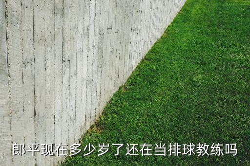郎平現(xiàn)在多少歲了還在當(dāng)排球教練嗎