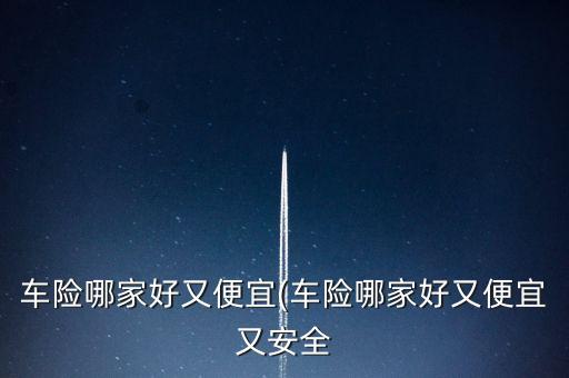 美國(guó)旅行者保險(xiǎn)公司,美國(guó)最大的保險(xiǎn)公司