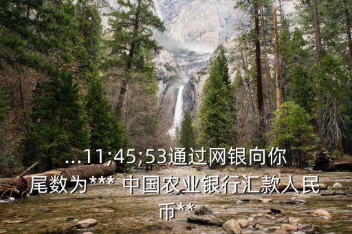 中國農(nóng)業(yè)銀行轉賬短信格式