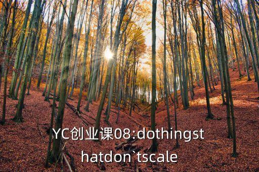 YC創(chuàng)業(yè)課08:dothingsthatdon`tscale