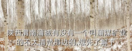 陜西煤業(yè)化工集團建新公司