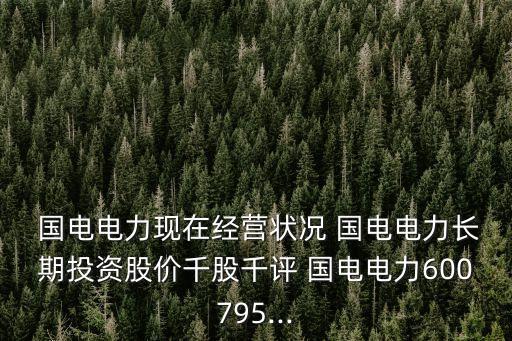國電投問世股票,南瑞國電股票