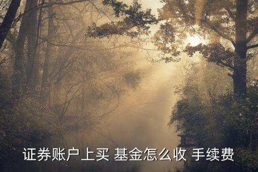 國(guó)泰君安購(gòu)買(mǎi)基金手續(xù)費(fèi)