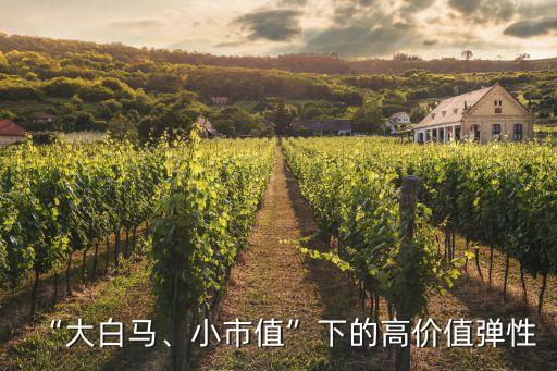 “大白馬、小市值”下的高價(jià)值彈性