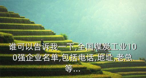 誰(shuí)可以告訴我一下,全國(guó)煤炭工業(yè)100強(qiáng)企業(yè)名單,包括電話,地址,老總等...