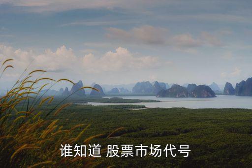 誰(shuí)知道 股票市場(chǎng)代號(hào)