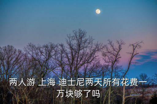 兩人游 上海 迪士尼兩天所有花費一萬塊夠了嗎