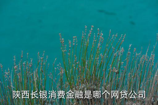 陜西長(zhǎng)銀消費(fèi)金融是哪個(gè)網(wǎng)貸公司