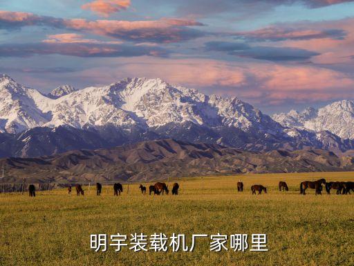 明宇集團上市,明宇重工上市了嗎?
