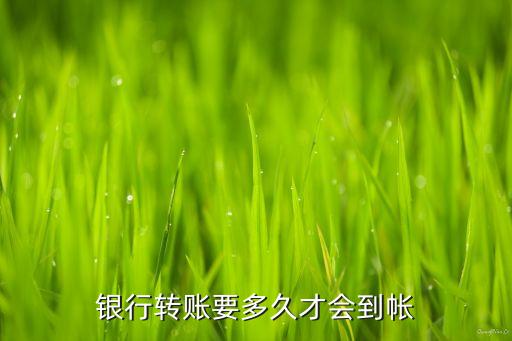 銀行轉(zhuǎn)賬要多久才會到帳