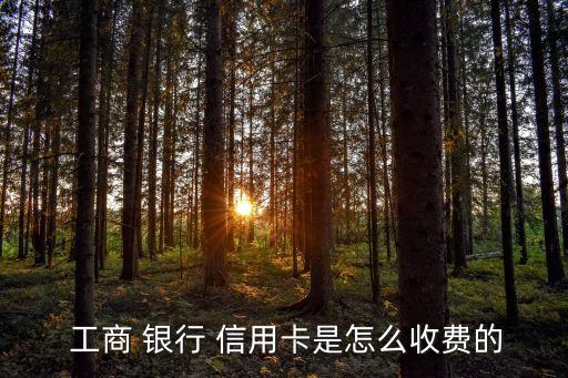  工商 銀行 信用卡是怎么收費的