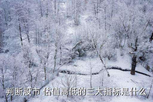 股票估值高與市場(chǎng)價(jià)格,市場(chǎng)價(jià)格很低個(gè)人估值又很大的商品