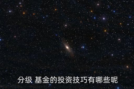  分級(jí) 基金的投資技巧有哪些呢