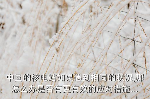 中國(guó)的核電站如果遇到相同的狀況,那怎么辦是否有更有效的應(yīng)對(duì)措施...