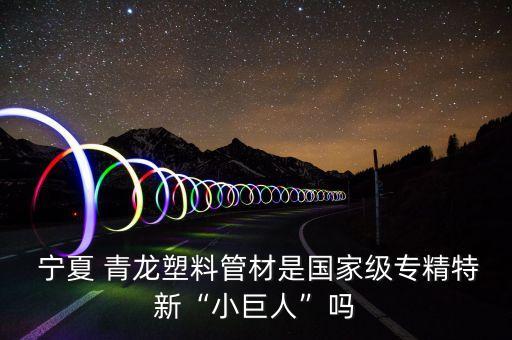  寧夏 青龍塑料管材是國(guó)家級(jí)專精特新“小巨人”嗎