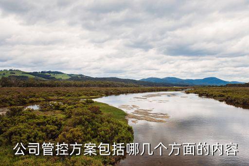  公司管控方案包括哪幾個方面的內(nèi)容