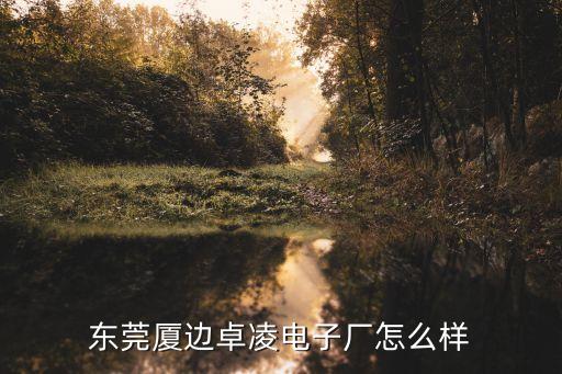 東莞廈邊卓凌電子廠怎么樣