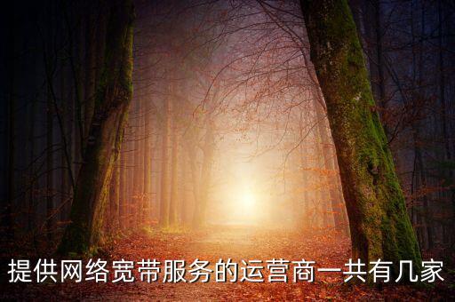 家通信設(shè)施公司