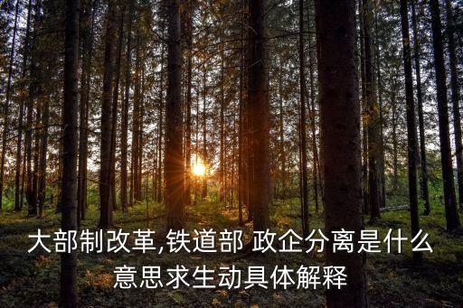 大部制改革,鐵道部 政企分離是什么意思求生動具體解釋