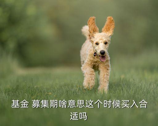  基金 募集期啥意思這個時候買入合適嗎