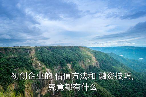 初創(chuàng)企業(yè)的 估值方法和 融資技巧,究竟都有什么