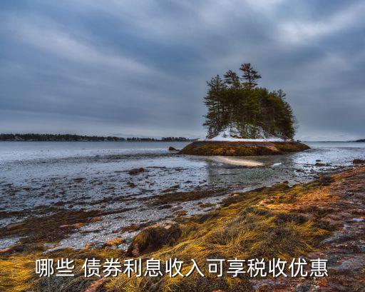 哪些 債券利息收入可享稅收優(yōu)惠