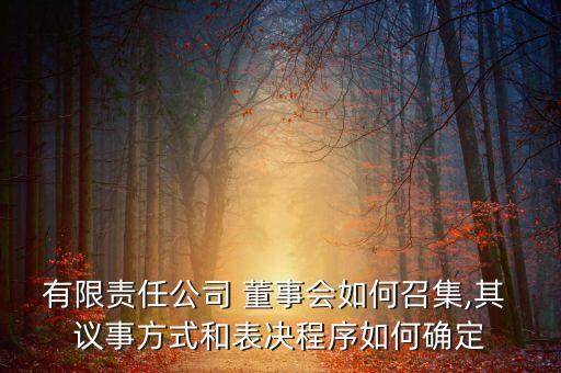 有限責(zé)任公司 董事會如何召集,其 議事方式和表決程序如何確定