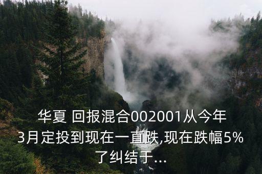  華夏 回報(bào)混合002001從今年3月定投到現(xiàn)在一直跌,現(xiàn)在跌幅5%了糾結(jié)于...