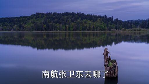  南航張衛(wèi)東去哪了