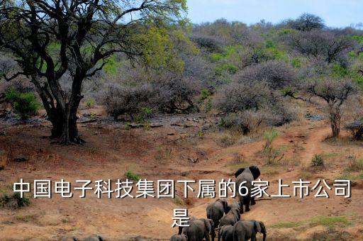 中國電子科技集團(tuán)下屬的6家上市公司是