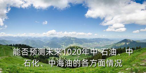 能否預測未來1020年中 石油、中石化、中海油的各方面情況