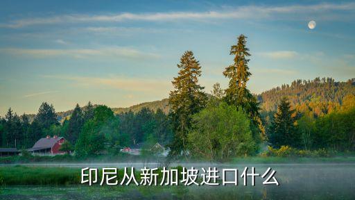  印尼從新加坡進口什么
