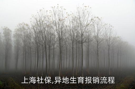  上海社保,異地生育報(bào)銷流程