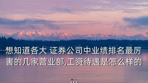 想知道各大 證券公司中業(yè)績排名最厲害的幾家營業(yè)部,工資待遇是怎么樣的...