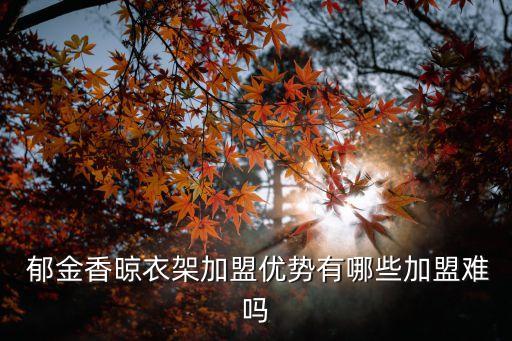  郁金香晾衣架加盟優(yōu)勢有哪些加盟難嗎