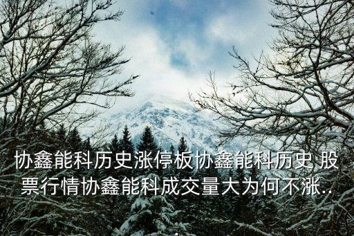 協(xié)鑫能科歷史漲停板協(xié)鑫能科歷史 股票行情協(xié)鑫能科成交量大為何不漲...