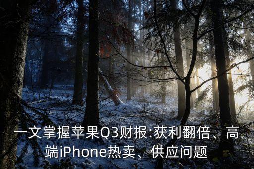 一文掌握蘋(píng)果Q3財(cái)報(bào):獲利翻倍、高端iPhone熱賣、供應(yīng)問(wèn)題
