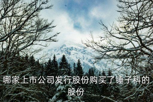 哪家上市公司發(fā)行股份購買了錘子科的股份