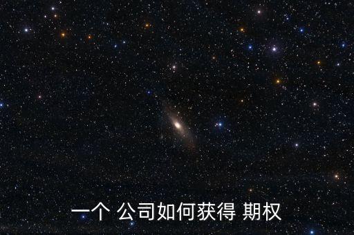 一個 公司如何獲得 期權(quán)